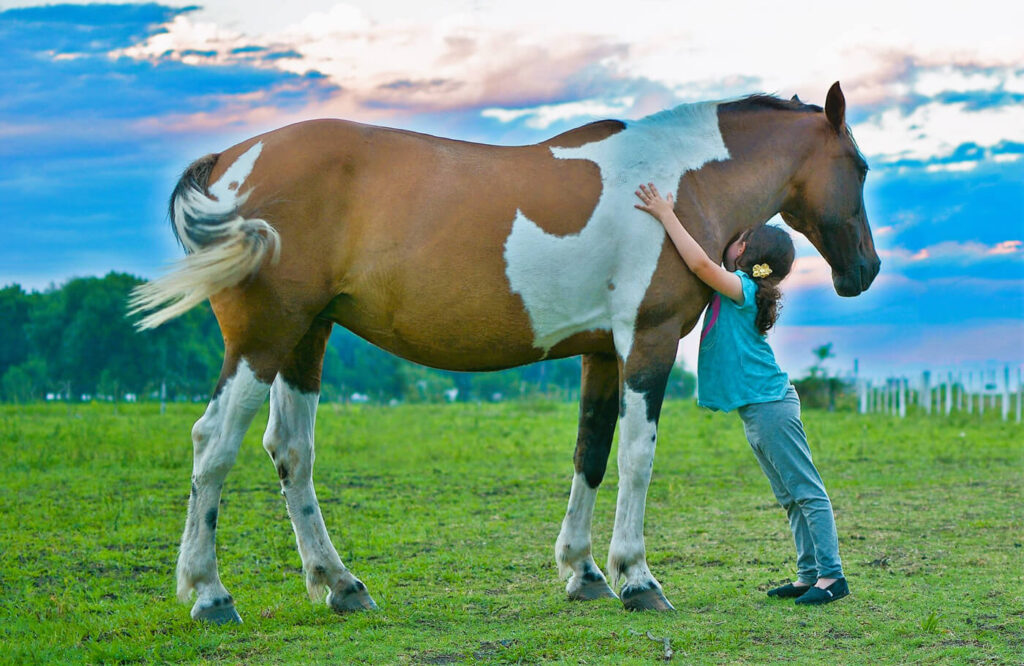 Kleines Mädchen umarmt ein braunes Pferd.